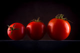 Food Art Poster och Canvastavla