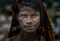 Rohingya refugee man - Bangladesh Poster och Canvastavla