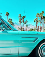 Teal Thunderbird in Palm Springs Poster och Canvastavla