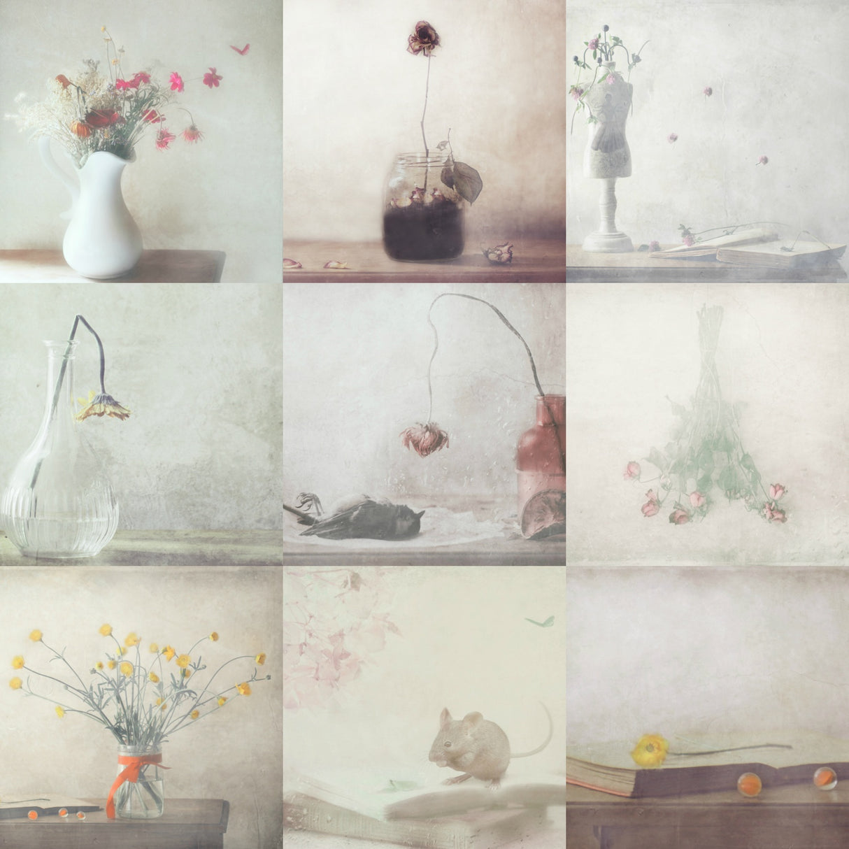 Life and Death Poster och Canvastavla