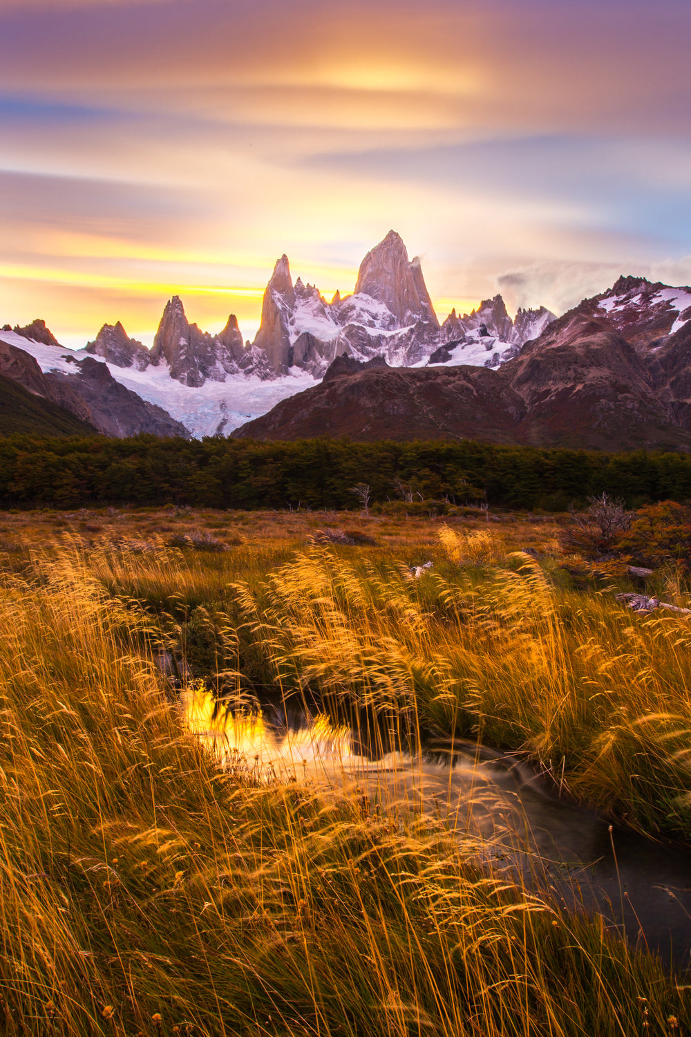 Mt Fitz Roy at Golden Hour Poster och Canvastavla