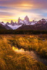 Mt Fitz Roy at Golden Hour Poster och Canvastavla