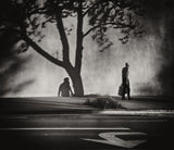 Trees, shadows and signs on Montana Avenue Poster och Canvastavla