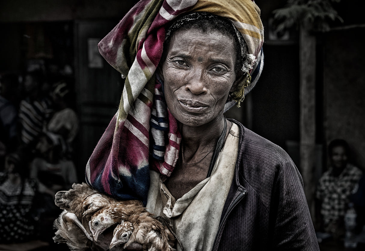 Ethiopian woman with chickens in a market Poster och Canvastavla