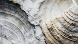 Beach Impressions No 46 Poster och Canvastavla