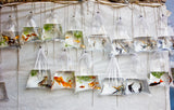 The Wall of Fish Poster och Canvastavla