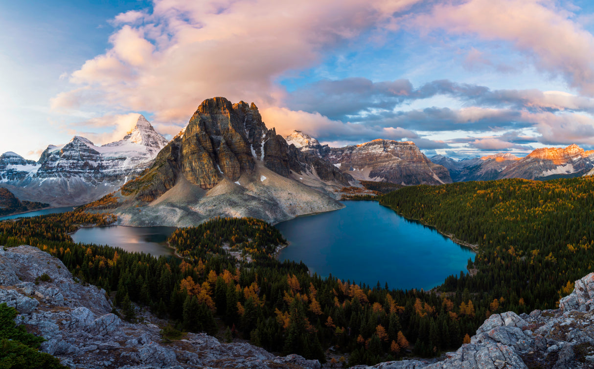 Sunrise at Mt. Assiniboine Poster och Canvastavla