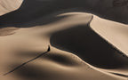 Sand shadow Poster och Canvastavla