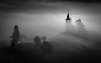 A foggy day Poster och Canvastavla