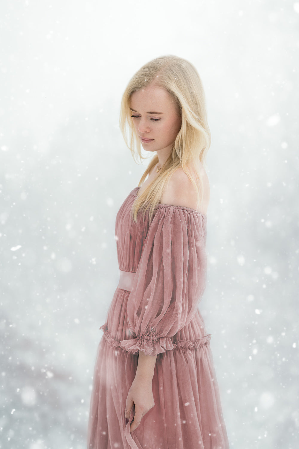 Snowy winterdays Poster och Canvastavla