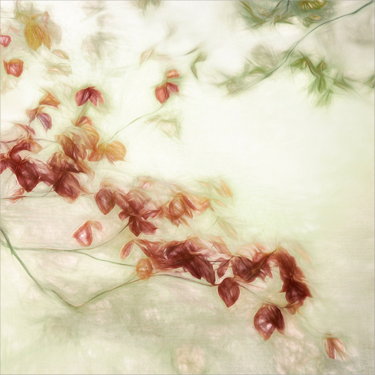 fleeting romance Poster och Canvastavla