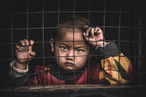 Eyes behind the grilled window Poster och Canvastavla