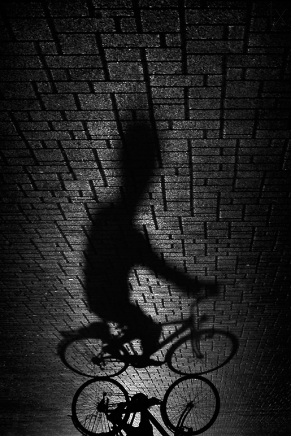 Shadow bike... Poster och Canvastavla