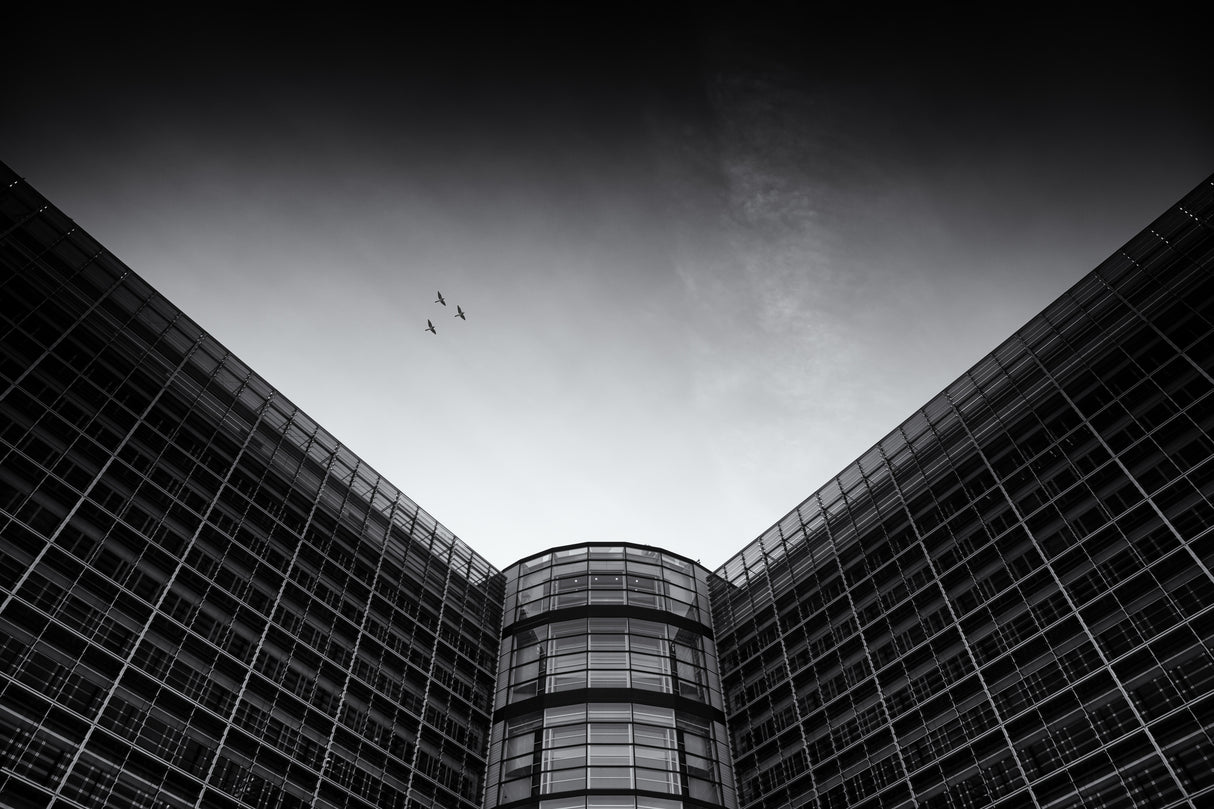 wings Poster och Canvastavla