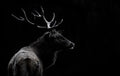 The deer soul Poster och Canvastavla