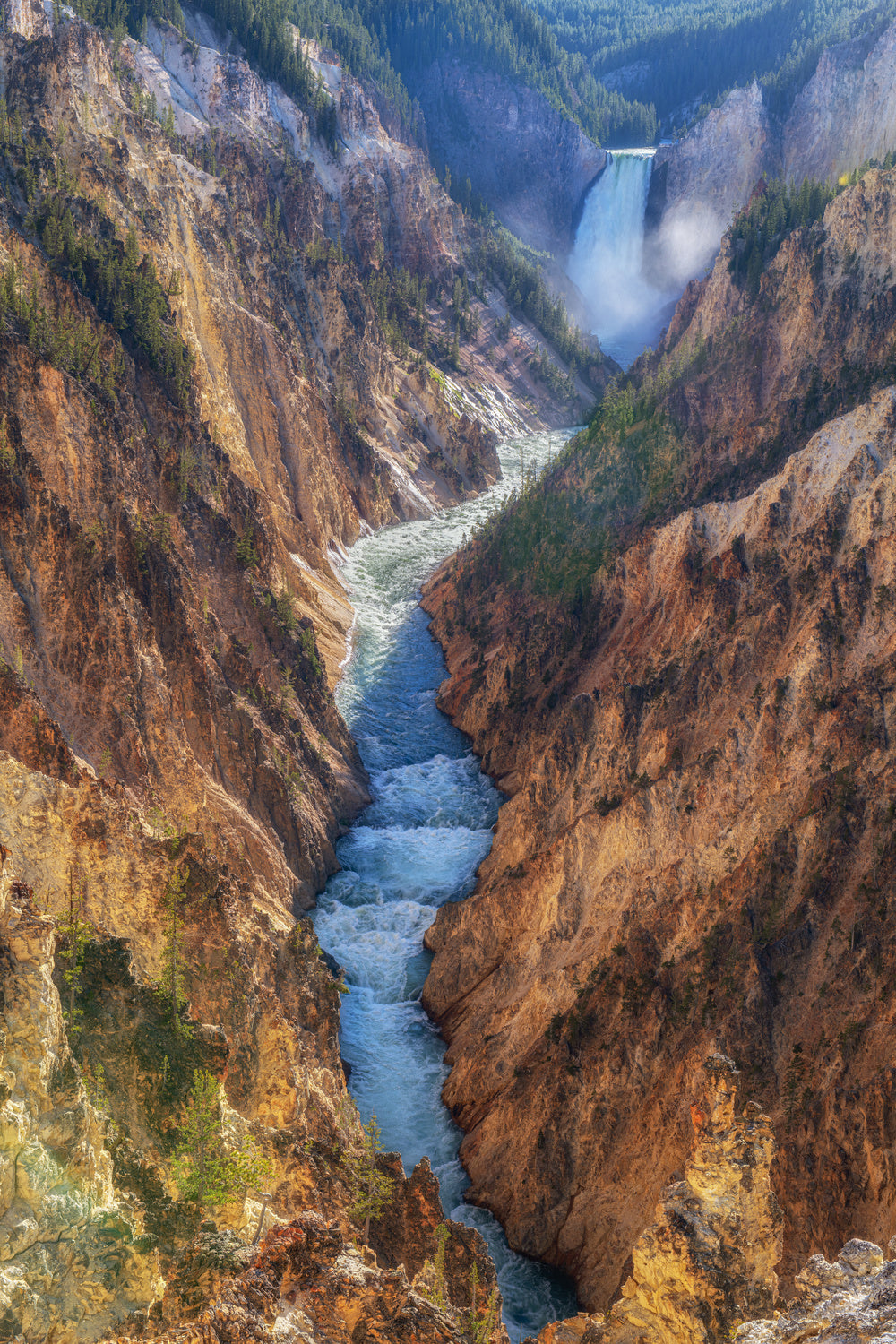 The Yellowstone Poster och Canvastavla