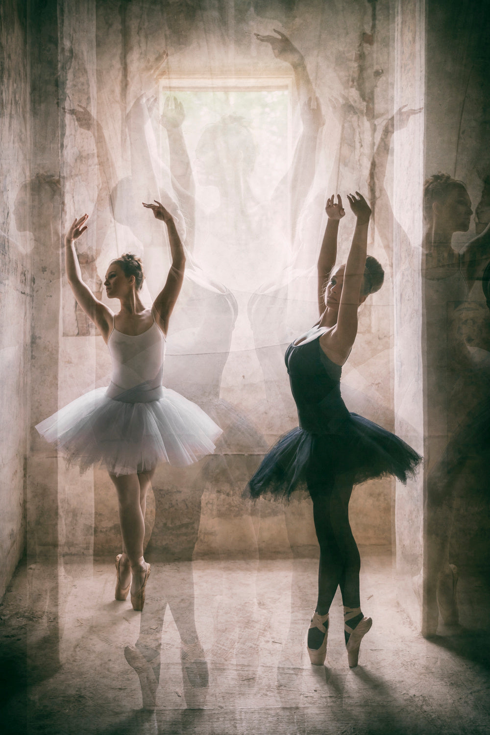 the ballett training Poster och Canvastavla