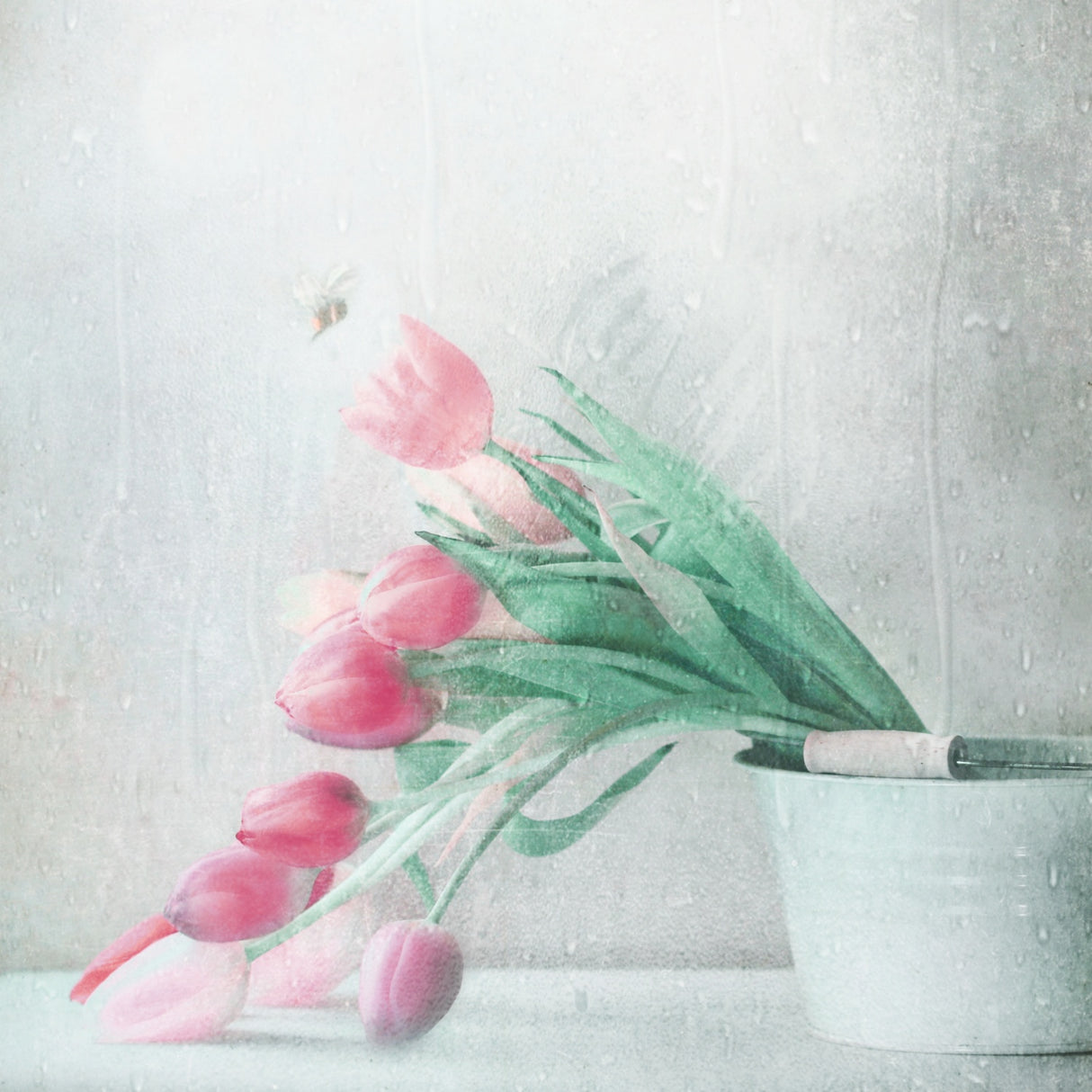 Early Summer Rain Poster och Canvastavla