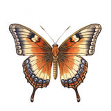 Butterfly 22 Poster och Canvastavla