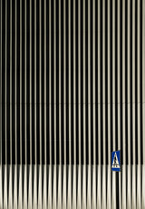 Poster och Canvastavla