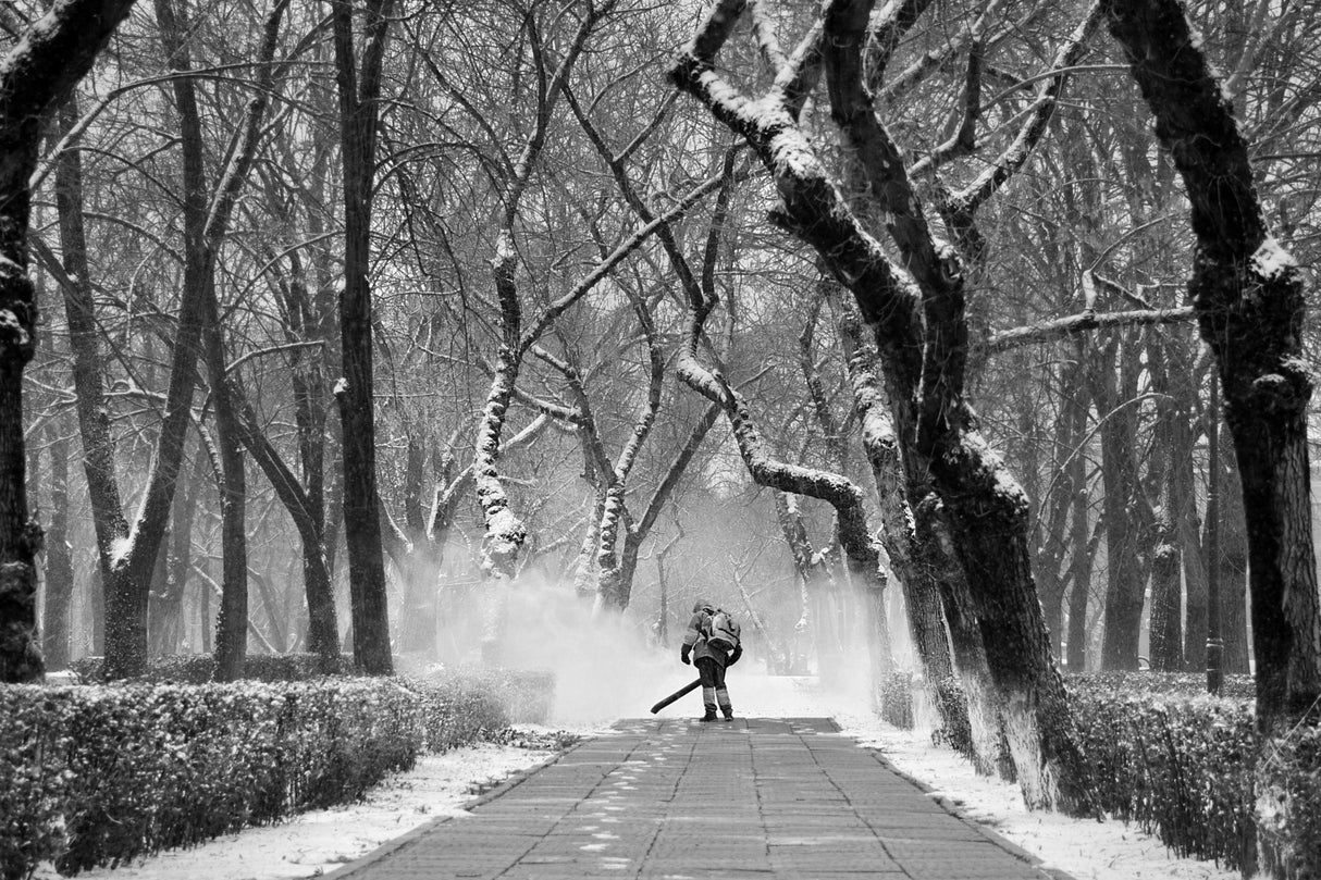 if on a winter's day Poster och Canvastavla