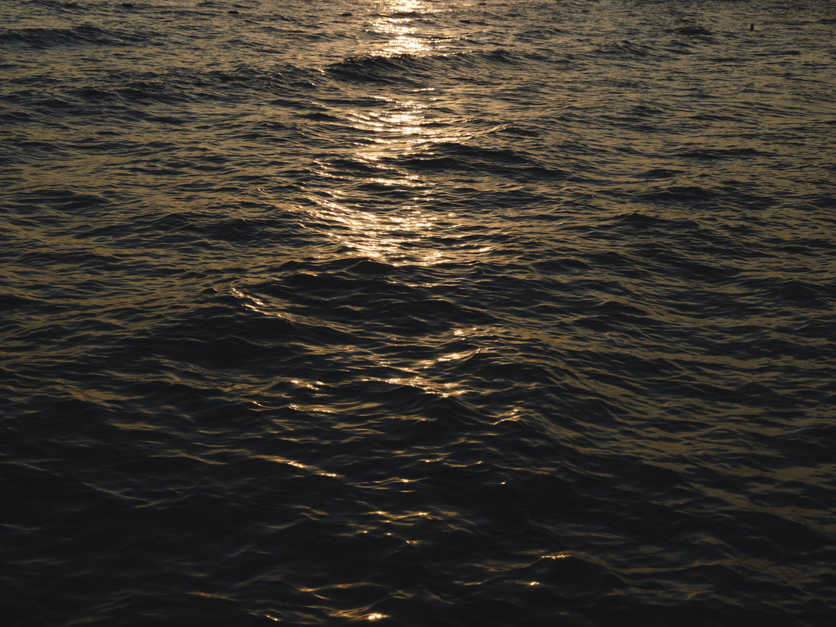 sea waves at sunset Poster och Canvastavla