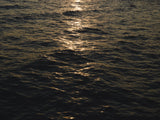 sea waves at sunset Poster och Canvastavla