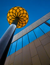The yellow flower Poster och Canvastavla