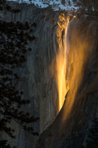 golden waterfall Poster och Canvastavla