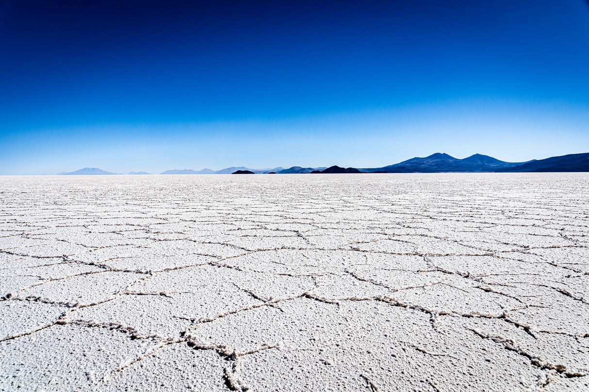 in the salt flat Poster och Canvastavla