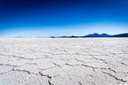 in the salt flat Poster och Canvastavla