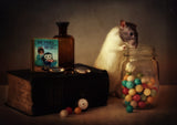 Gumballs (Published in the new 1X Book "Memento".) Poster och Canvastavla