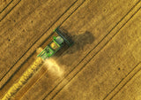 the harvester Poster och Canvastavla