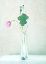 The Pink Flower Poster och Canvastavla