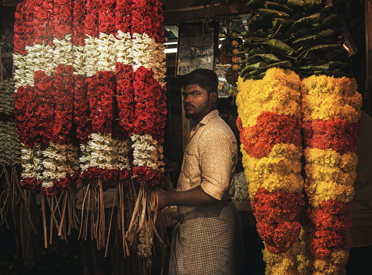 Garlanded Poster och Canvastavla