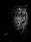 The Tiger Poster och Canvastavla