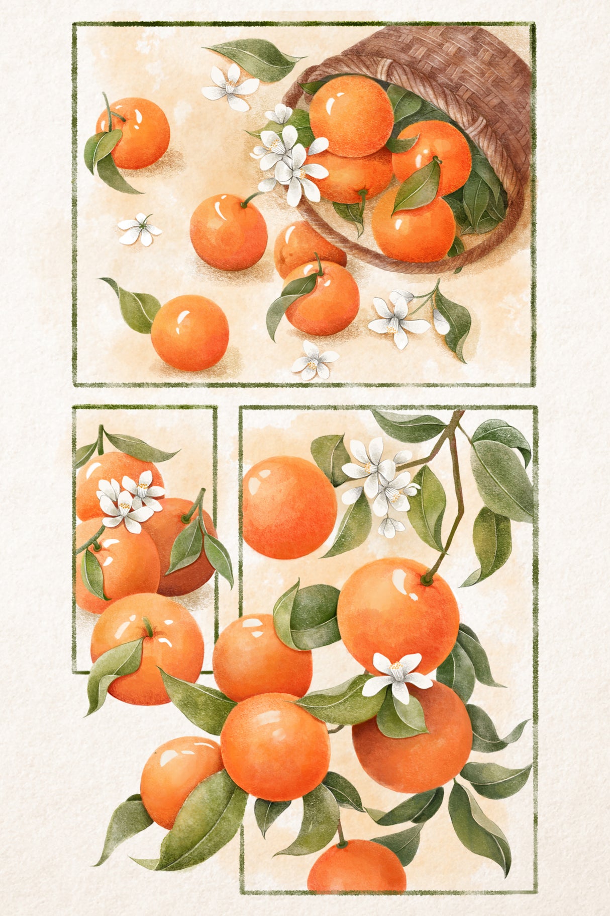 Orange Blossom Home Poster och Canvastavla