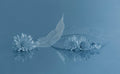 Crystal Clear Poster och Canvastavla