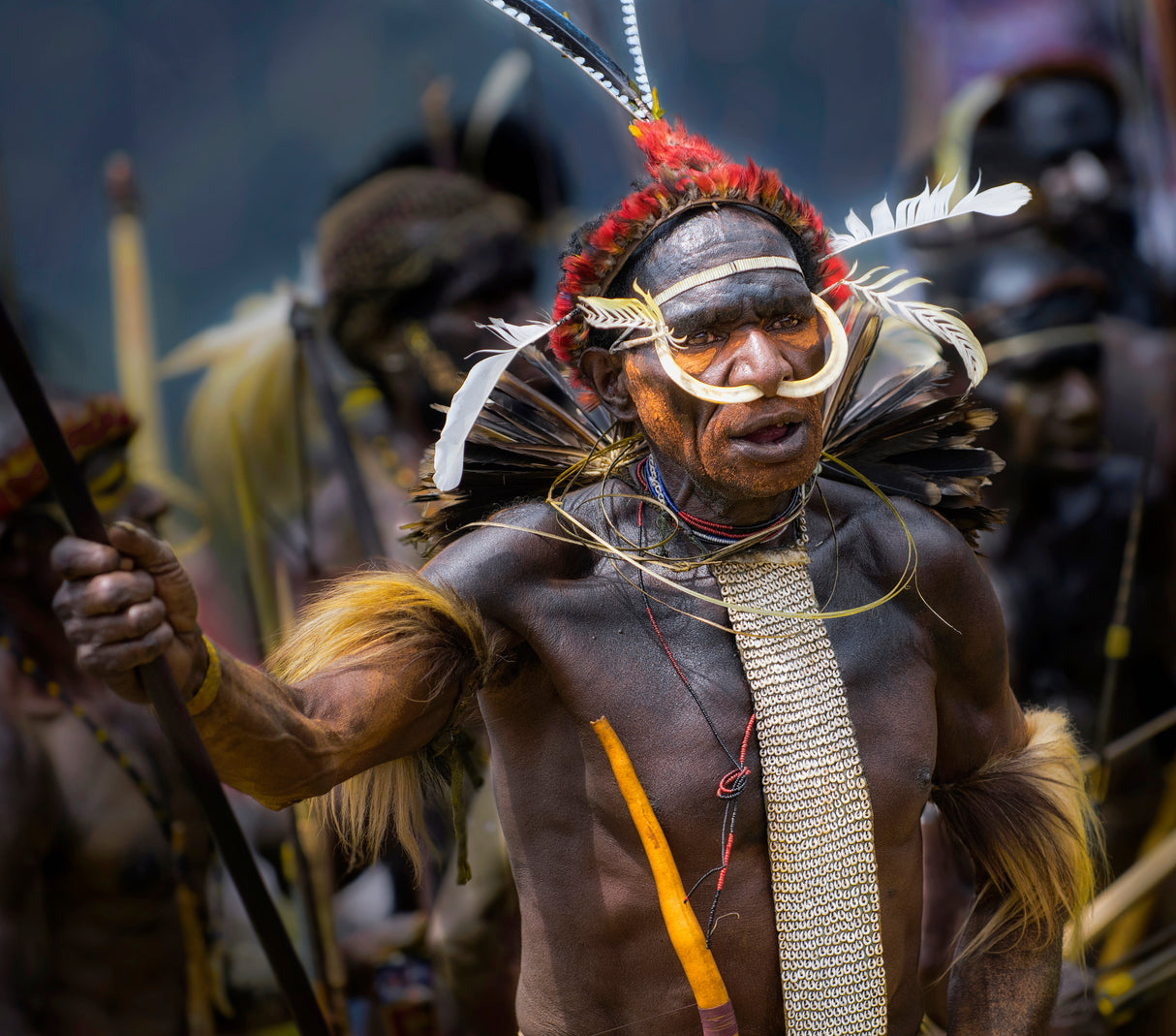 Warrior of Papua Poster och Canvastavla