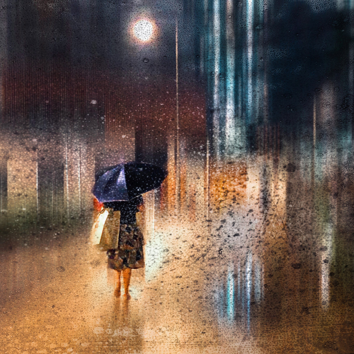 girl in the rain Poster och Canvastavla