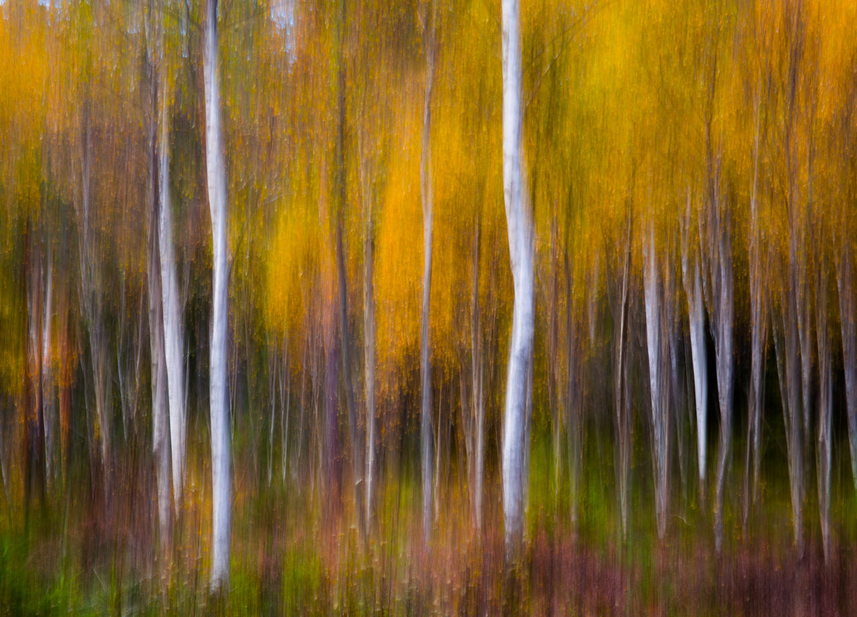 Abstract Fall Poster och Canvastavla