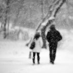 Let it snow.... Poster och Canvastavla