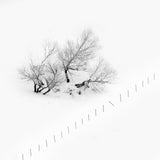 Poems of silence Poster och Canvastavla