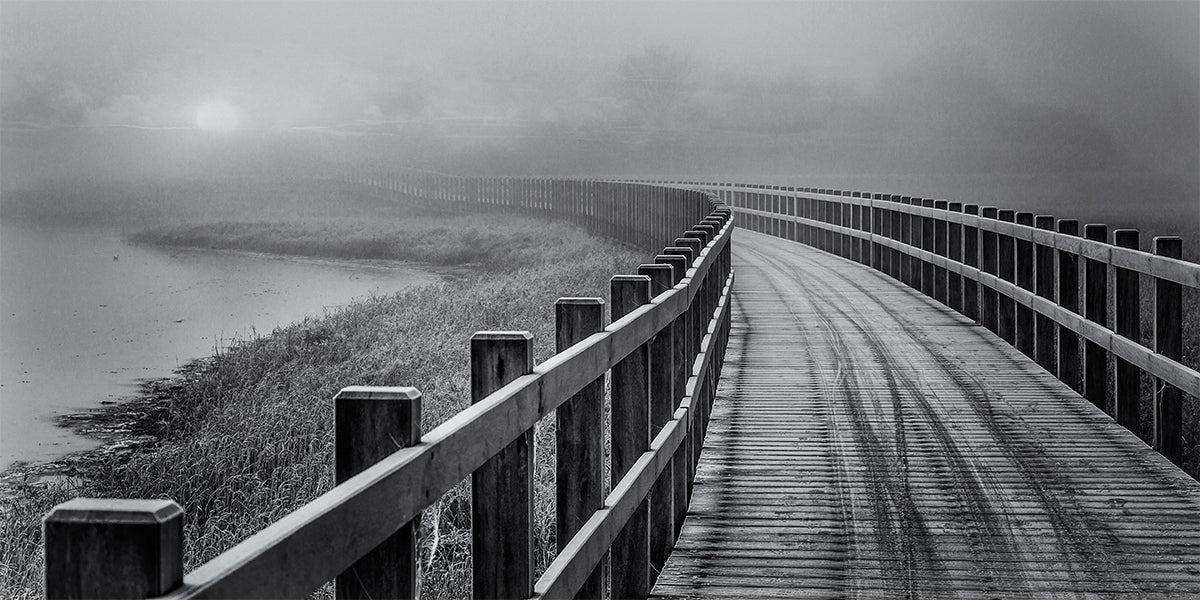 The path to something better. Poster och Canvastavla