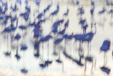 Sensory impressions Poster och Canvastavla