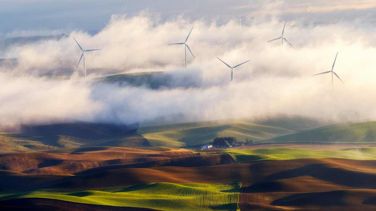 View From The Steptoe Butte Poster och Canvastavla