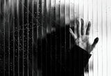 The hand Poster och Canvastavla