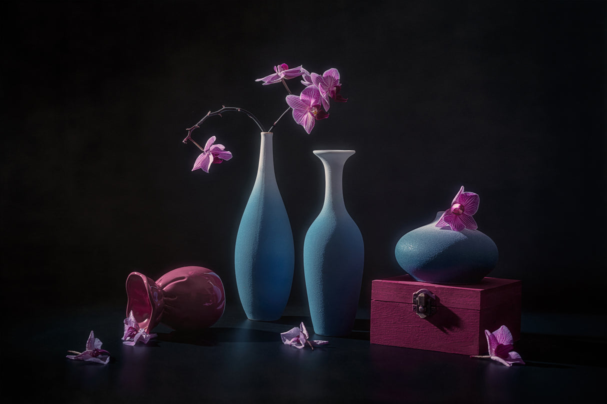 Bloom &amp; Fade Poster och Canvastavla