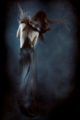 Gone with the wind Poster och Canvastavla