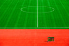 Red-Green Poster och Canvastavla